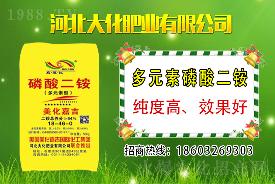 小麥價(jià)格多少錢一斤？2021年3月12日麥價(jià)格分析