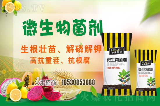 ��ݮ�����F���l���l(f��)������ҪԴ��ʲô������