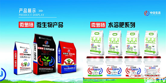 ���˟oζ���ϲ����������㡱�ǻ����ǵĵ���