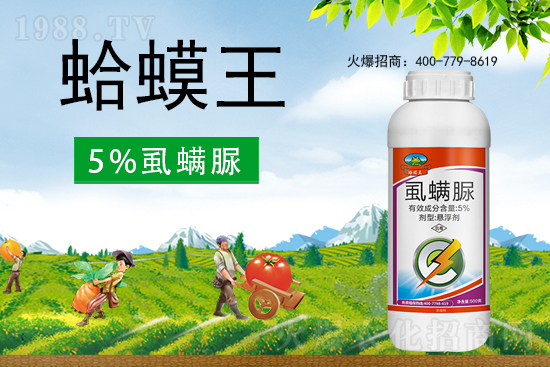 ʭ����������ô�������x���c��ʲô��