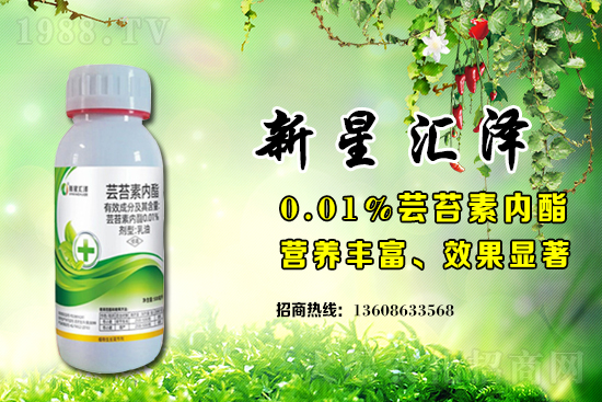 蕓苔素內(nèi)脂