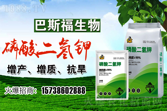 小麥價(jià)格現(xiàn)在多少錢一斤？后期行情走勢(shì)如何？