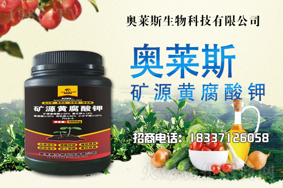 �`֥���a(ch��n)����(ji��)��ʲô�r(sh��)�����`֥���϶�ľ�������༼�g(sh��)��