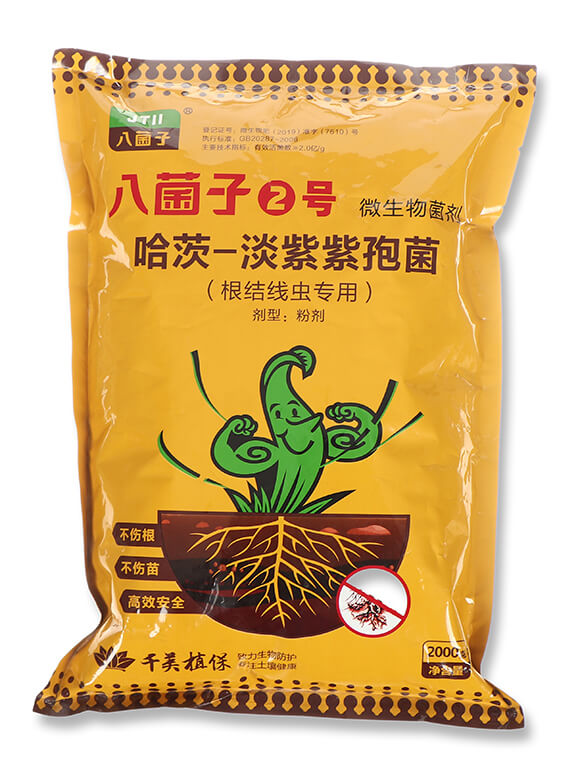 哈茨-淡紫紫孢菌-八菌子2號-千美植保4