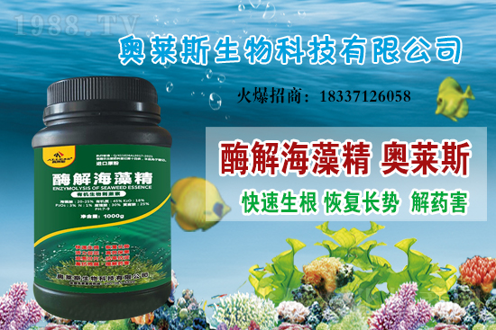 大豆價(jià)格還會(huì)上漲嗎？今日大豆價(jià)格行情