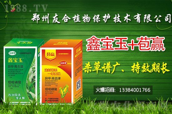 除草劑價格快訊2021年4月28日