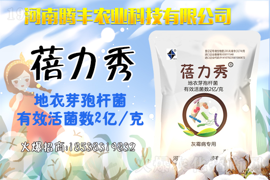 西葫蘆品種有哪些？西葫蘆的種植注意事項