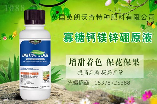 英朗沃奇成功簽約1988.TV,攜手共創(chuàng)新戰(zhàn)績!