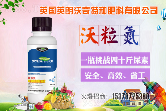 英朗沃奇成功簽約1988.TV,攜手共創(chuàng)新戰(zhàn)績!