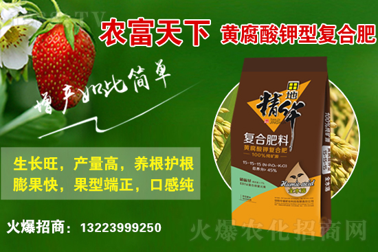 復(fù)合肥市場行情分析，2021年6月10日化肥行情走勢：