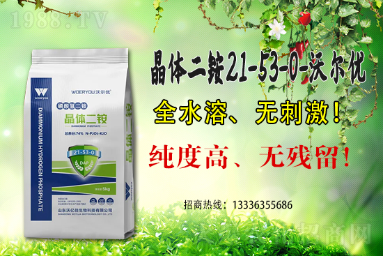 二銨高價，近期國內(nèi)磷銨價格行情日報（6月15）