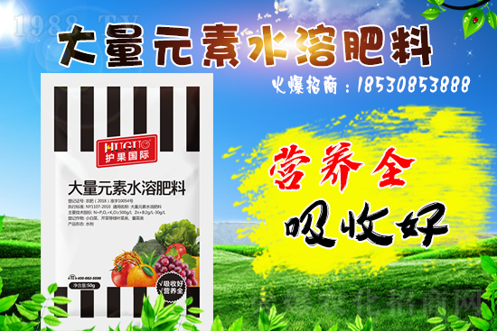 �ĺ����g����