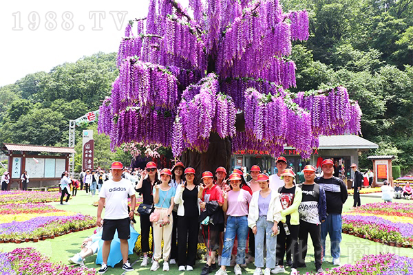 努力攀登人生中的每一座高山