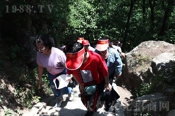 追夢(mèng)谷中藏“仙境”,老君山上尋“真理”