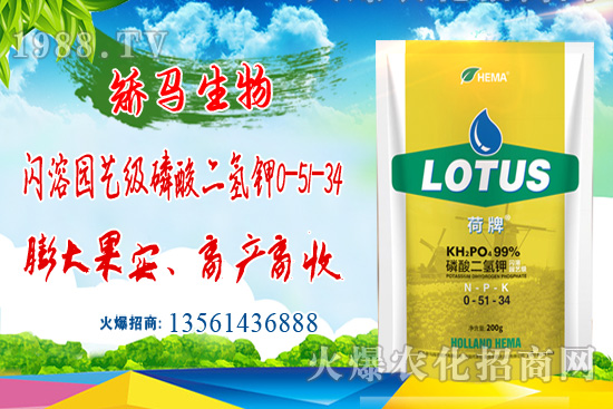 ⛷ʃr���ͦ������⛷ʃr�������߄ݣ�6��22�գ�