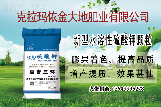 ⛷��Ј�(ch��ng)���ֈ�(ji��n)ͦ�߄�(sh��)������⛷ʃr(ji��)���߄�(sh��)���������u(p��ng)