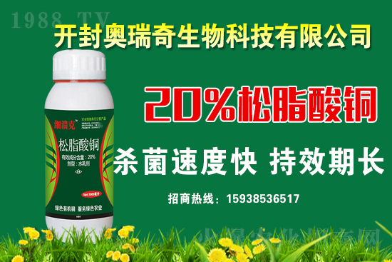 �W��������𱬁��u���y��1988.TV�_���W(w��ng)�j(lu��)������������