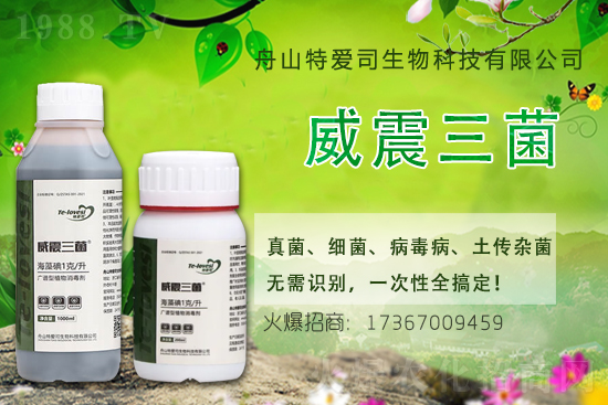 2021��7��19��ϩ�������������r������