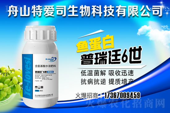 ���g�{��