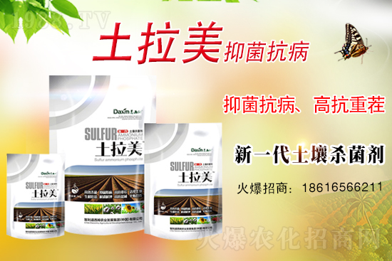 智利道西姆再簽1988.TV，開啟網(wǎng)絡(luò)招商新模式！