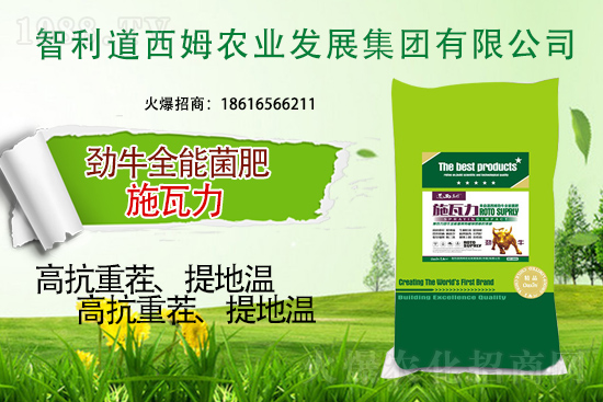 智利道西姆再簽1988.TV，開啟網(wǎng)絡(luò)招商新模式！