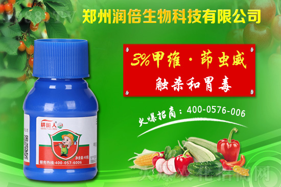 2021��7��30�հ��S���ؚ��x���r���߄�