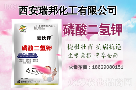 鉀肥價格還能再漲嗎?7月31日各地鉀肥價格行情一覽