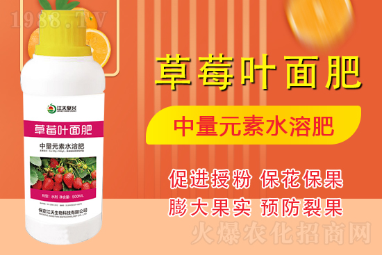 �����l(f��)չ������(chu��ng)δ�����������ﺞ�s1988.TV������(chu��ng)���x����