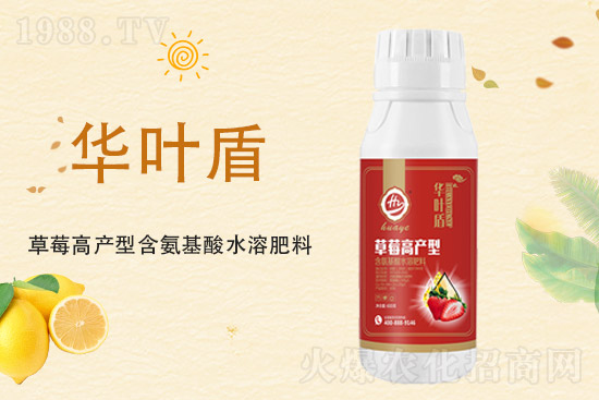 2021��8��26�ղ˶����x(ch��ng)���r(ji��)��