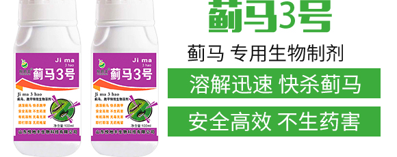 薊馬、跳甲生物制劑-薊甲3號(hào)-悅地豐生物_03