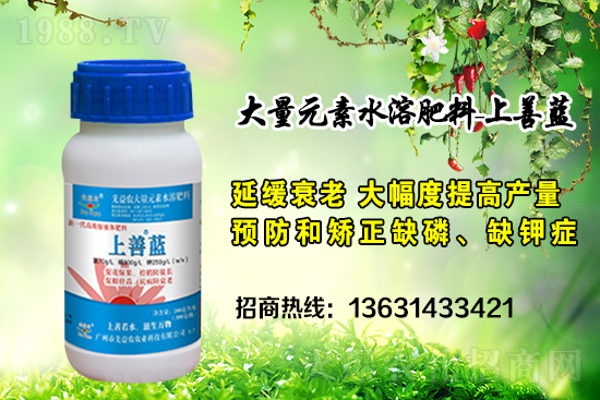 �V���������r(n��ng)�ٶȔy��1988.TV���y�ֹ���(chu��ng)��(zh��n)����