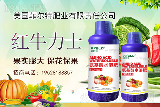 �������t��