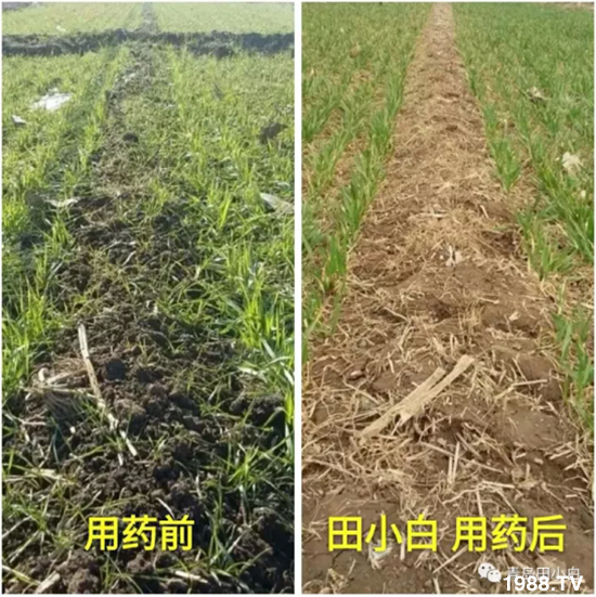 ��(ji��)��(ji��)��Σ��������ô����ʲôˎ��Ч������