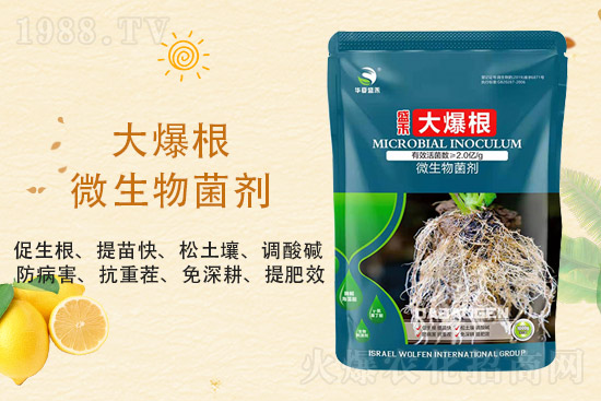 ���@�r(ji��)��ַ�(w��n)��2021��9��3�����@�r(ji��)���������