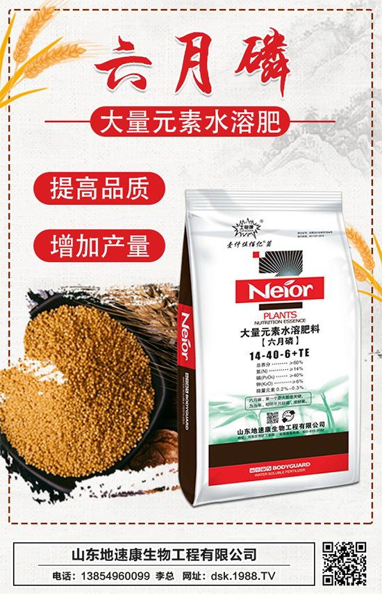 �����ٿ����ף�������w������ǰ�����\���������M��