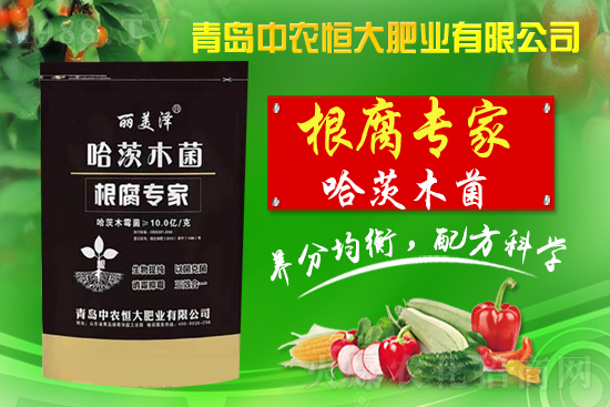 �����r(n��ng)���ףȫ��(gu��)��������옷(l��)������ʮ����ؔ(c��i)Դ�L�L��