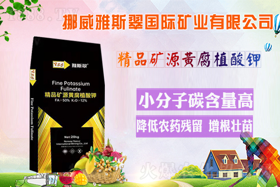 ��Ų����˹�䡿ף�V��(j��ng)�N��2022�껢��󼪣��H�Қg��������(ji��)�옷��