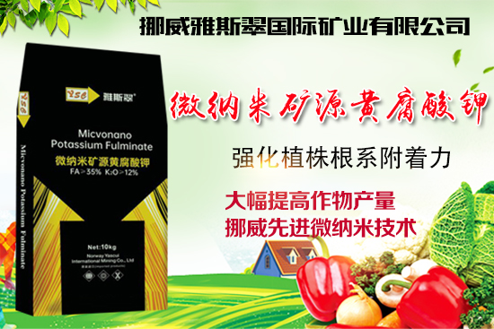 ��Ų����˹�䡿ף�V��(j��ng)�N��2022�껢������H�Қg��������(ji��)�옷��