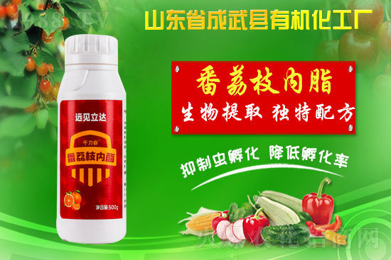 ���ЙC(j��)�����S��ף������������������µ�һ�����չ��D��