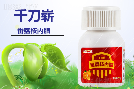 ���ЙC(j��)�����S��ף������������������µ�һ�����չ��D��