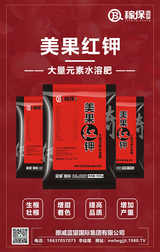 【挪威藍望】恭祝新老朋友新年快樂,虎年吉祥!2022財源滾滾!