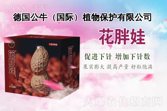 【德國(guó)公!孔4蠹以谛碌囊荒昀镄腋C罎M,闔家歡樂(lè)!