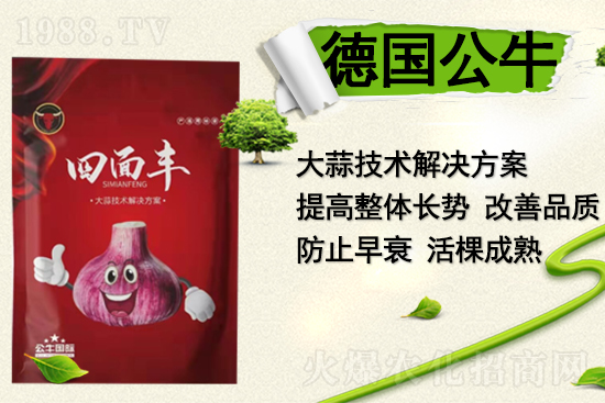 【德國(guó)公!孔4蠹以谛碌囊荒昀镄腋C罎M,闔家歡樂(lè)!