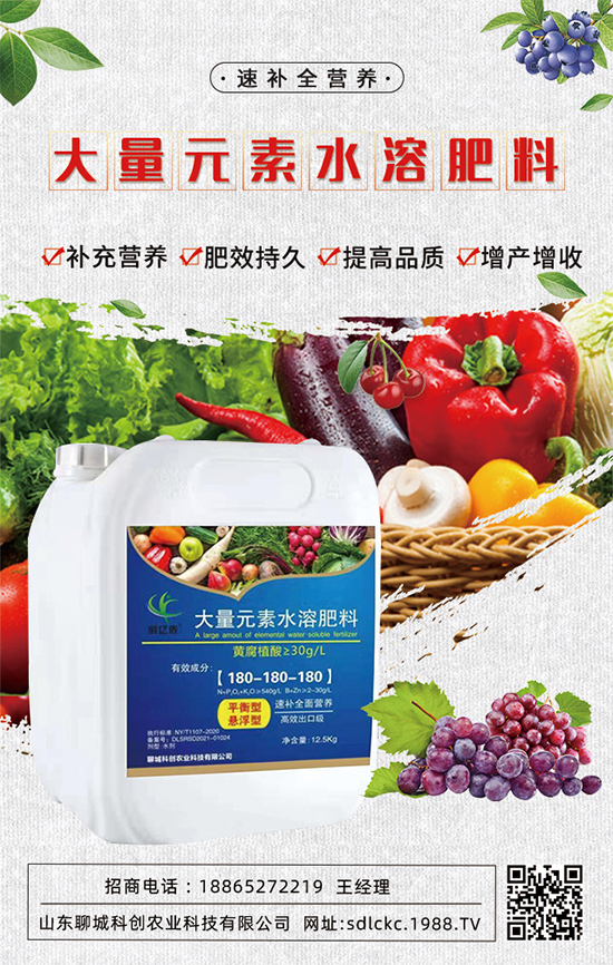 山東聊城科創(chuàng)再簽1988.TV，共謀合作促雙贏！