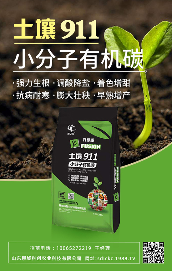 山東聊城科創(chuàng)再簽1988.TV，共謀合作促雙贏！