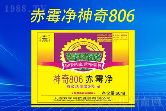 合作再升級！大連雙和科技再簽1988.TV，共創(chuàng)新輝煌！