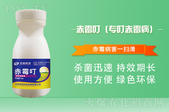 合作再升級！大連雙和科技再簽1988.TV，共創(chuàng)新輝煌！