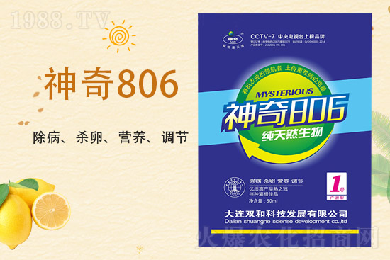 合作再升級！大連雙和科技再簽1988.TV，共創(chuàng)新輝煌！