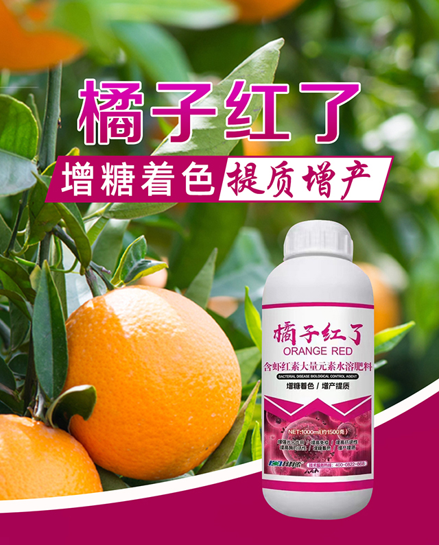 橘子紅了-科利農(nóng)_01