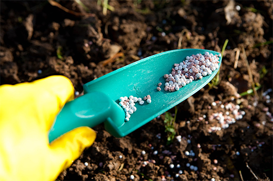 �ذ������ߌóɶ��N�I(y��)���[��(hu��)���n11��18��